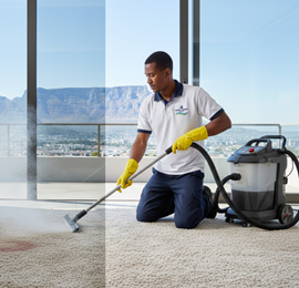 Carpet Cleaning